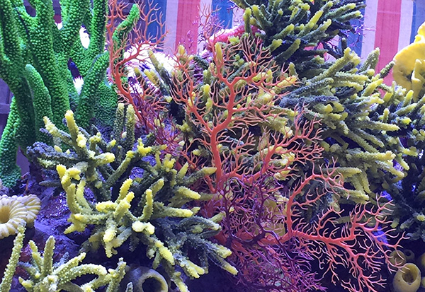 Artificial Coral Aquascape