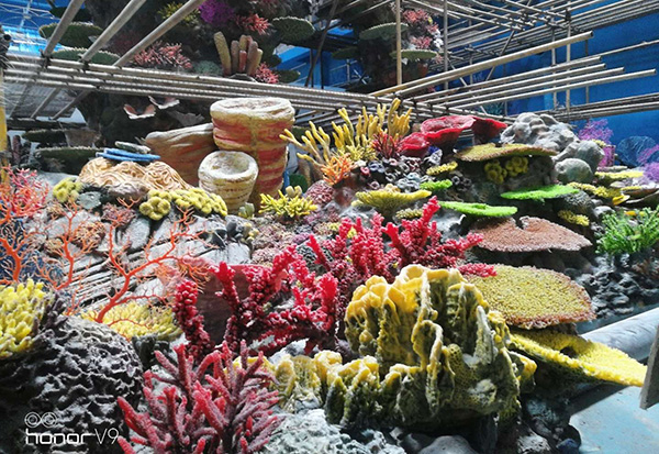 Artificial Coral Display Pool