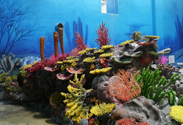Artificial Coral Exhibition Pool