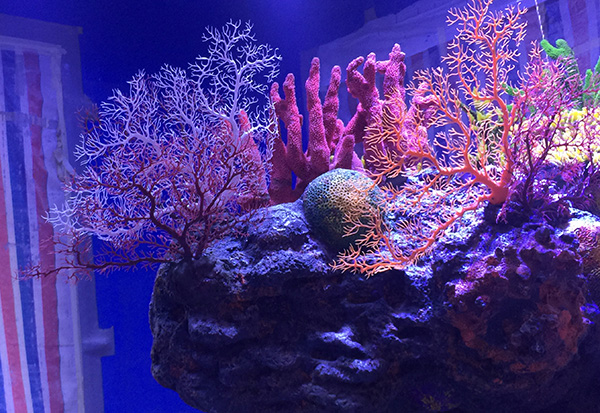 Artificial Coral Sculpture
