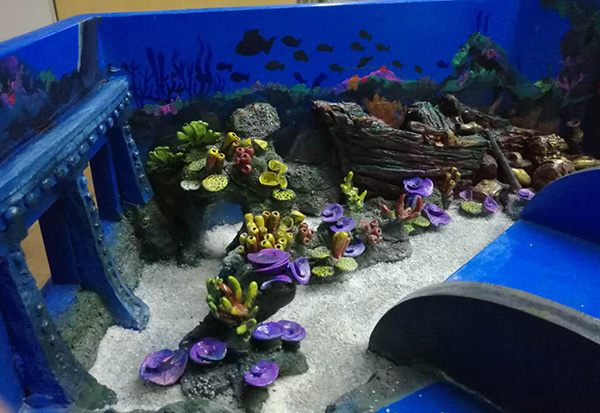 Beluga Whale Pool Design