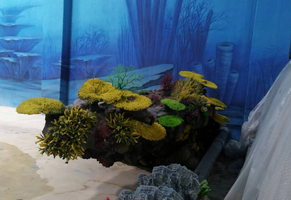 Coral Aquascape II