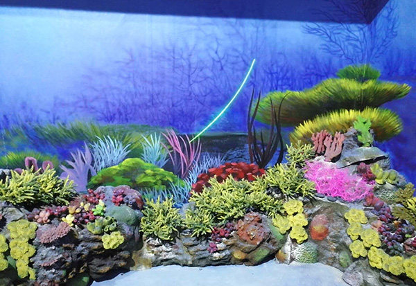 Coral Aquascape