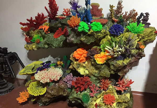 Coral Display Pool Aquascape