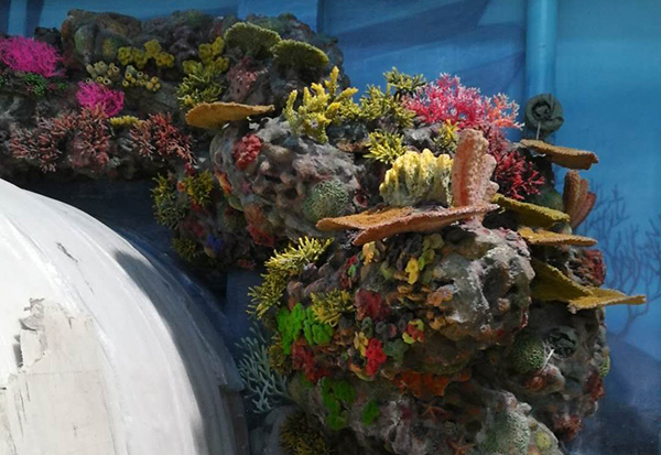 Coral Display Pool Design & Build