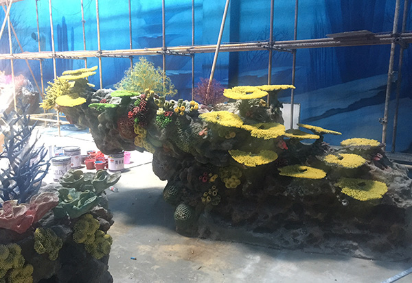 Coral Display Pool Design