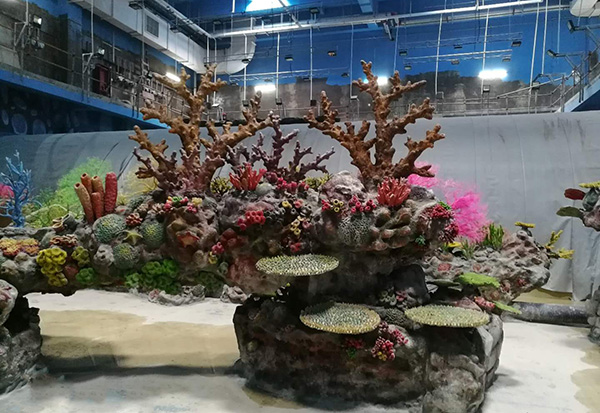 Coral Display Pool II