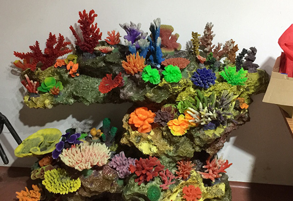 Coral Display Pool