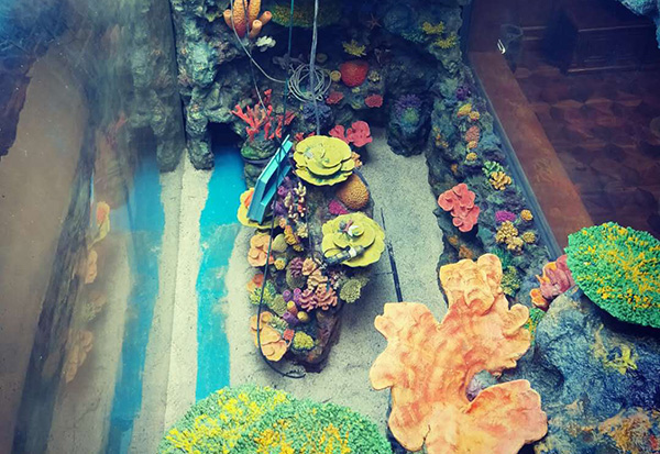 Coral Reef Sculpture