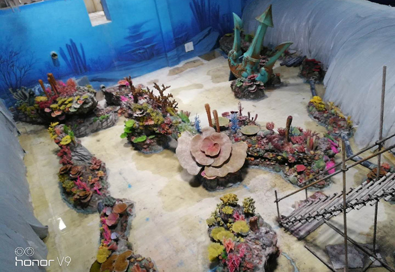 Dolphin Beluga Sea Animal Pool Construction
