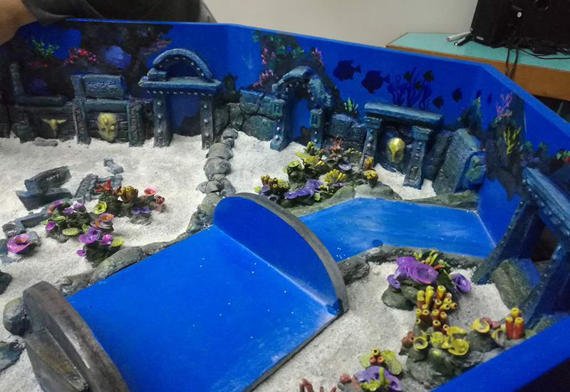 Dolphin Pool Design