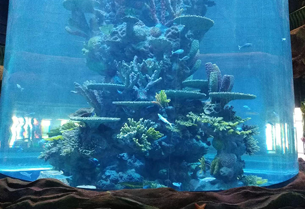 Ocean Park Aquascape II