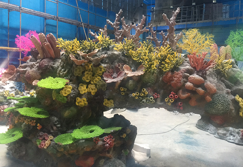 Ocean Park Construction Service