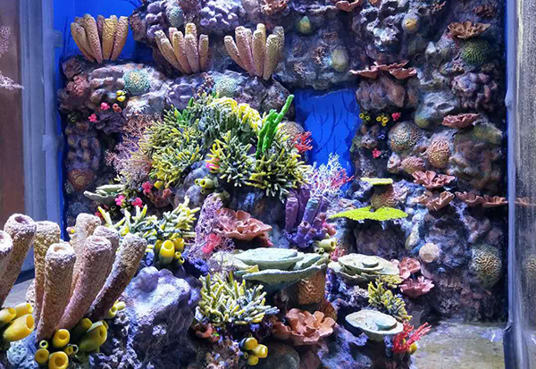 Ocean Park Landscape Aquascape