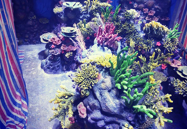 Ocean Park Landscape Construction
