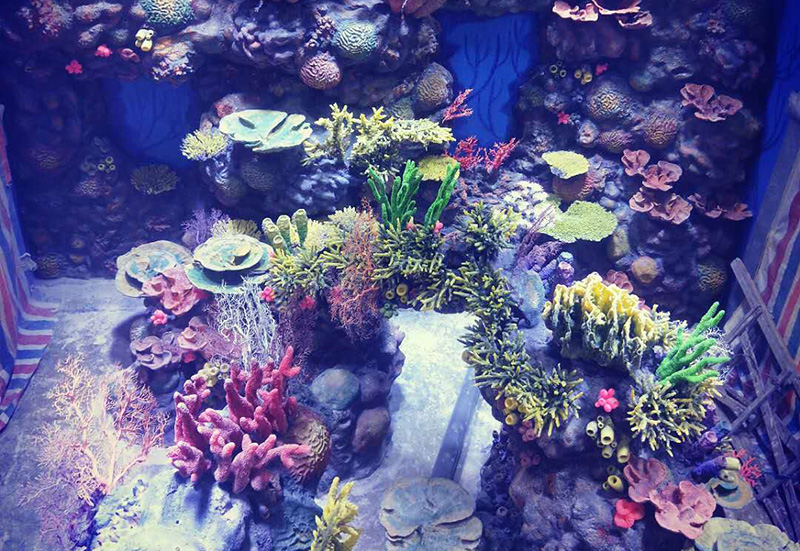 Ocean Park Landscape