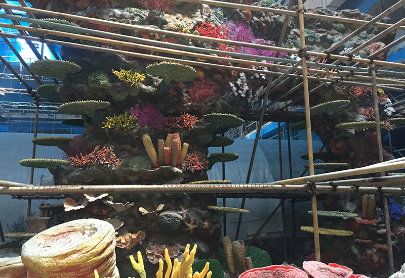 Ocean Park Underwater Aquascape II
