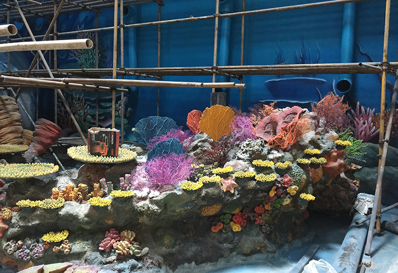 Ocean Park Underwater Construction