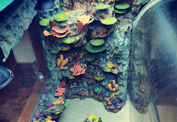 Ocean World Aquascape