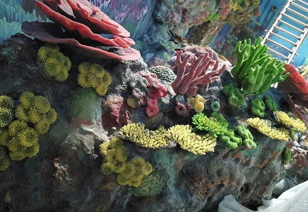 Simulated Coral Display Pool