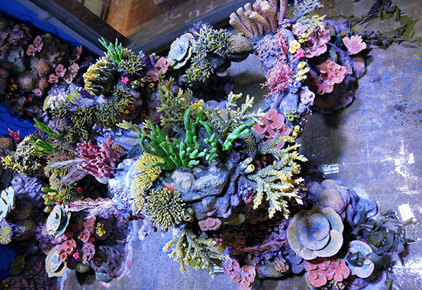 Underwater Aquascape Construction