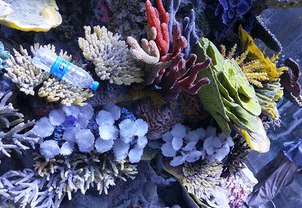 Underwater Aquascape Design