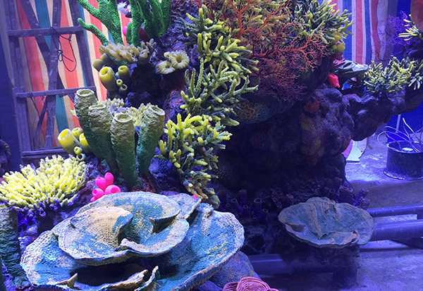 Underwater Coral Reef Aquascape II