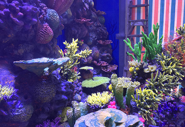 Underwater Coral Reef